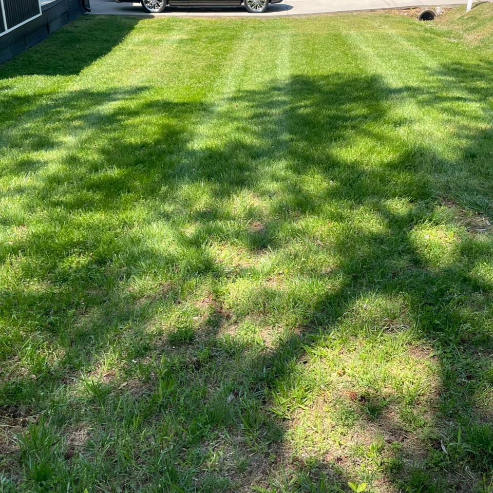 All Photos for Henry’s Lawn Care & Landscaping, LLC in Wendell, NC