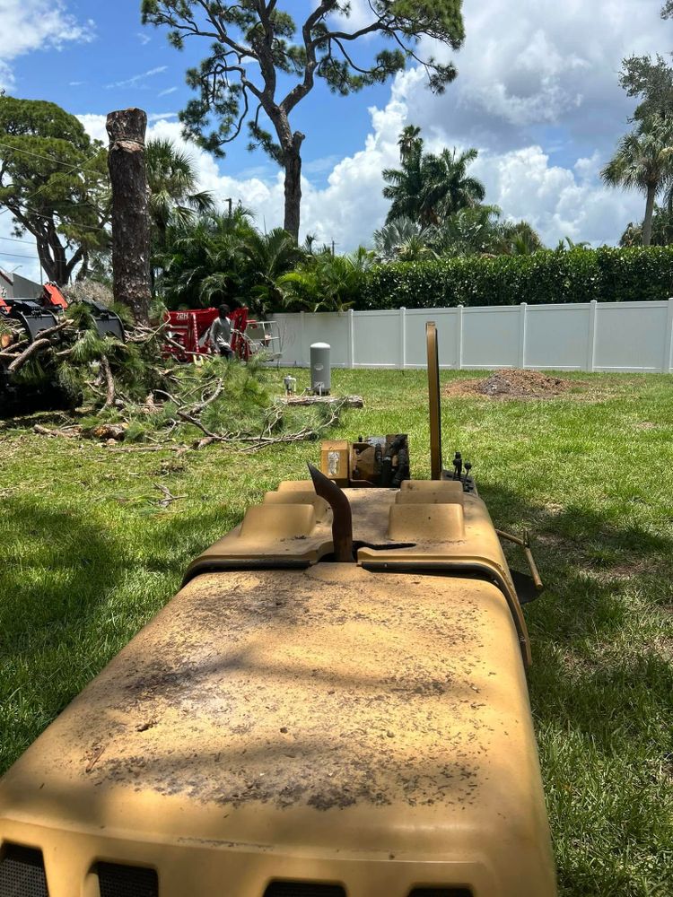 Our Tree Removal service safely and efficiently removes unwanted or hazardous trees, protecting your property and enhancing safety while maintaining the beauty of your landscape with minimal disruption. for Grizzly Stump Grinding in Sarasota, FL
