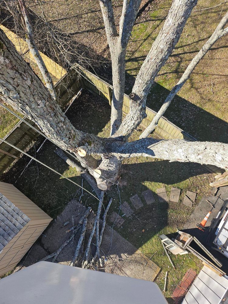 All Photos for T&T Lot Works in Kingston Springs, TN