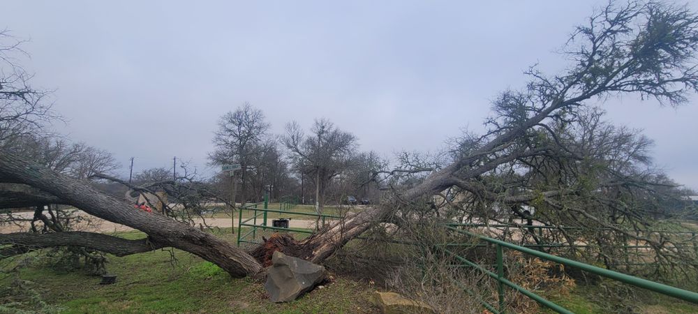 All Photos for Texican JLS in Manor, TX