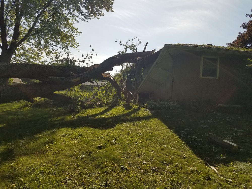 All Photos for O&O Tree Service in Rockford, IL