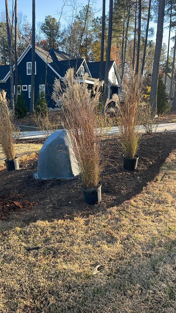 Fall and Spring Clean Up for Lively Landscaping LLC - NC in Franklinton, North Carolina