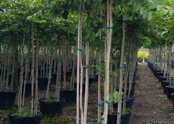 All Photos for Cunningham's Lawn & Landscaping LLC in Daytona Beach, Florida