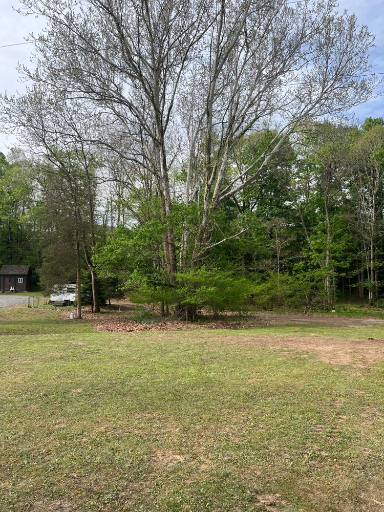 All Photos for Clarke Excavation Co. in Covington, VA
