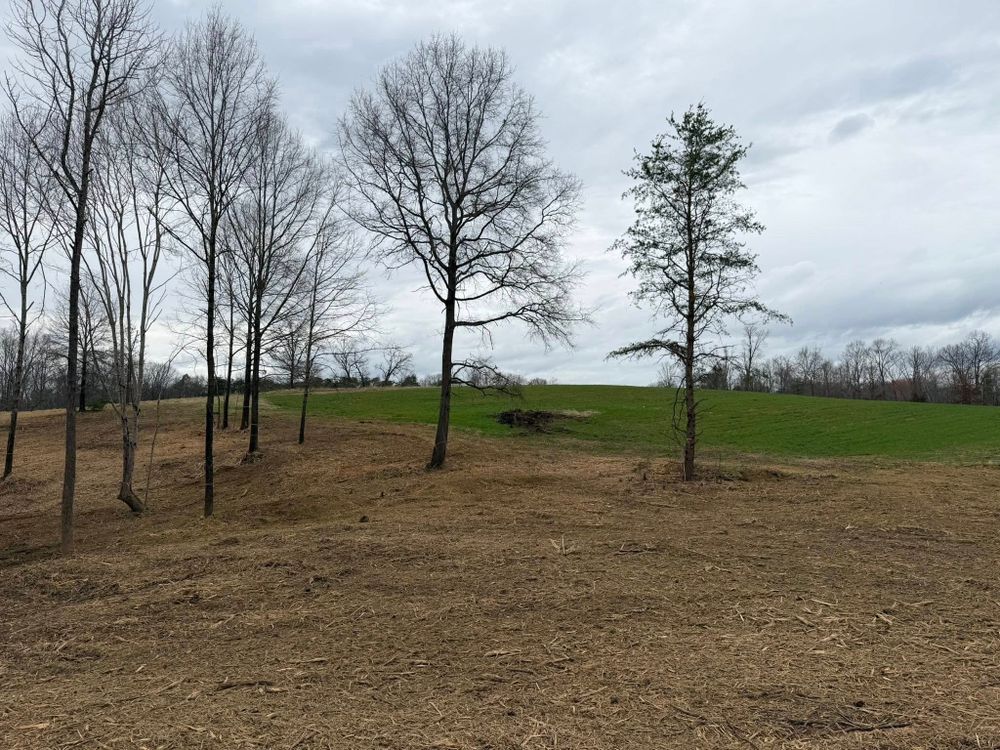Our Forestry Mulching service quickly clears brush, small trees, and overgrowth with minimal ground disturbance, creating usable space efficiently. Choose trusted forestry mulching near me for cleaner, safer property. for Hunt’s Hauling & Landworks LLC in Danville, VA