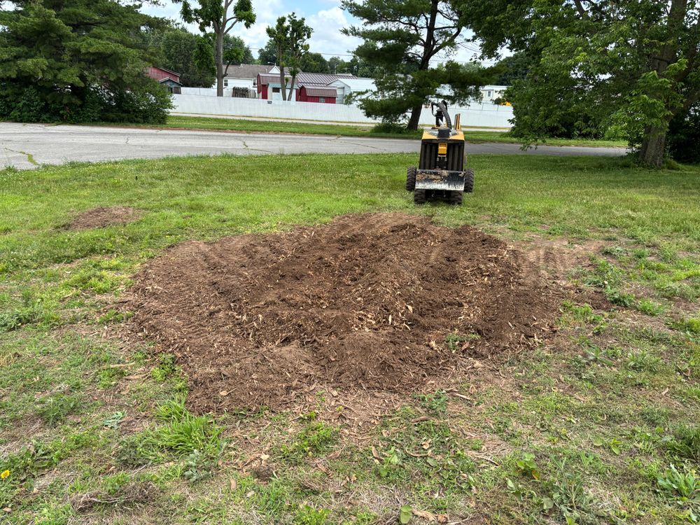 All Photos for Conrad's Stump Removal in Columbus, IN