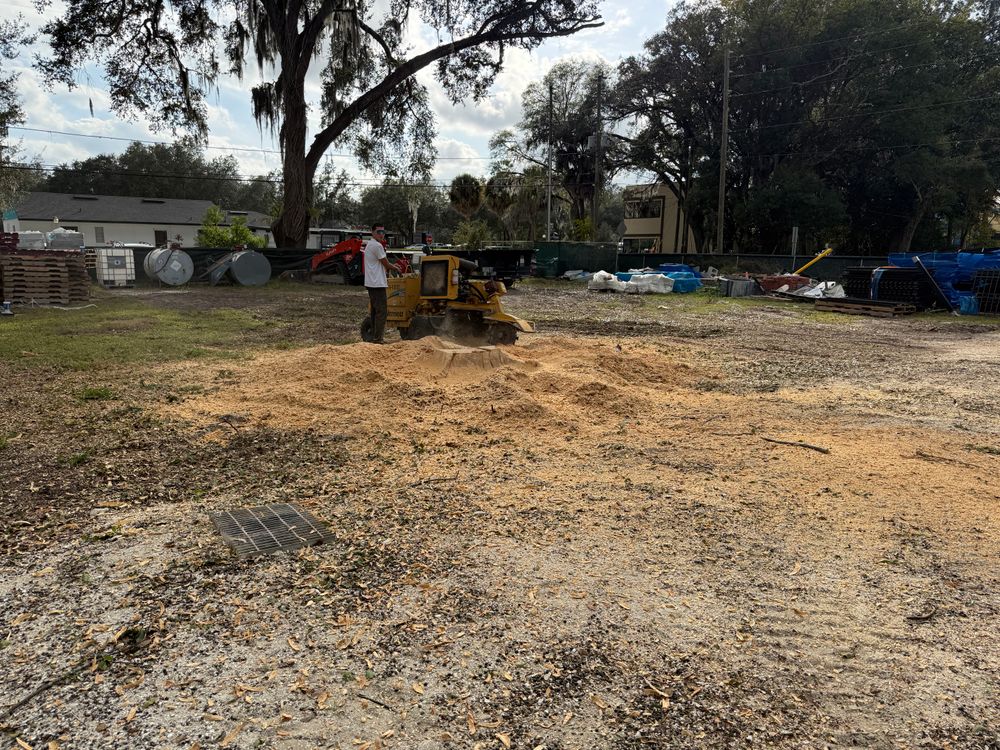 All Photos for Amerigrown Tree And Lawn in Apopka, FL