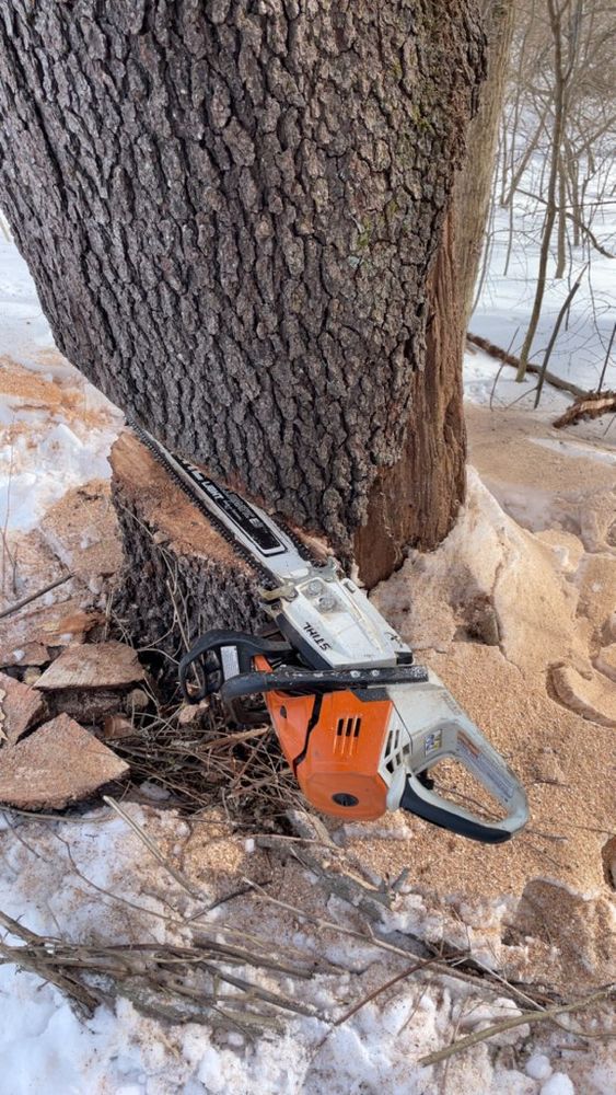 Our land clearing service efficiently transforms overgrown areas into clean, usable spaces, enhancing your property's safety and aesthetics while preparing the ground for landscaping or construction projects. for Hidden Acre Landscaping & Lawn Care in Dover, New Hampshire