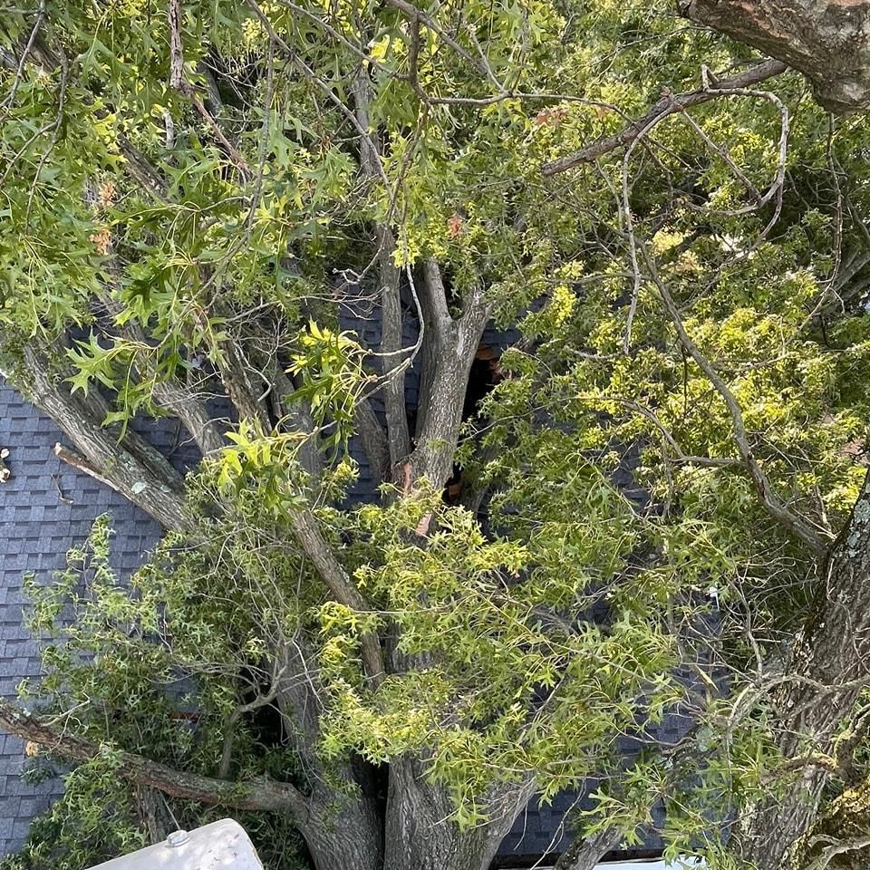 All Photos for JayTees Improvements in Indianapolis, Indiana