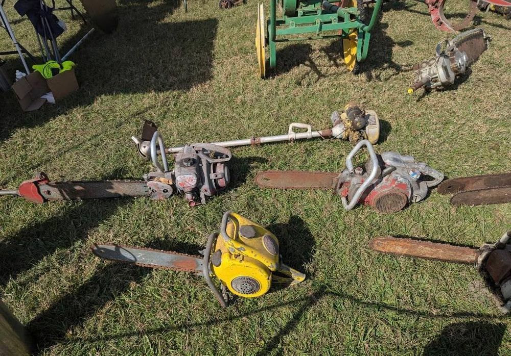 All Photos for Regal Tree Service and Stump Grinding in Wauchula, FL