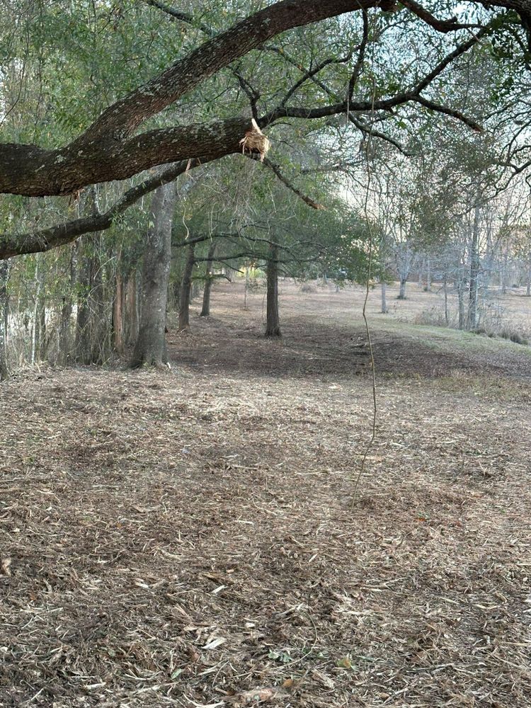 All Photos for White’s Land Maintenance in Milton,, FL