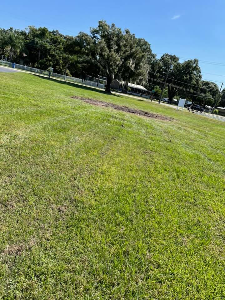 All Photos for Duck's Lawn & Tree Service in Winter Haven, FL