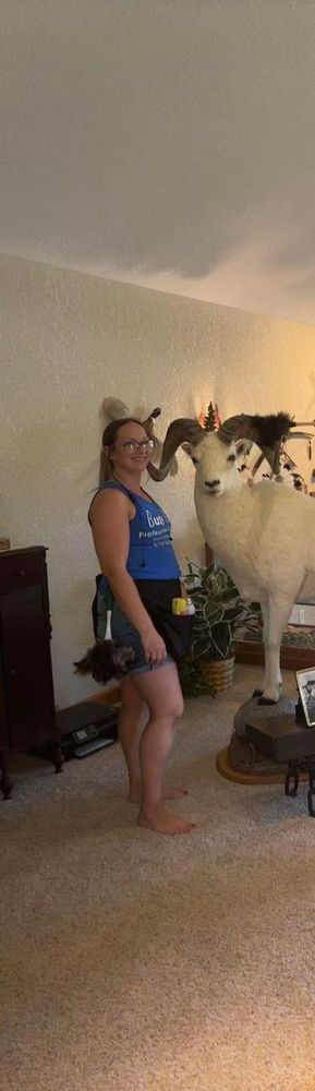 All Photos for Busy B's Professional Cleaning in Birch Run, MI