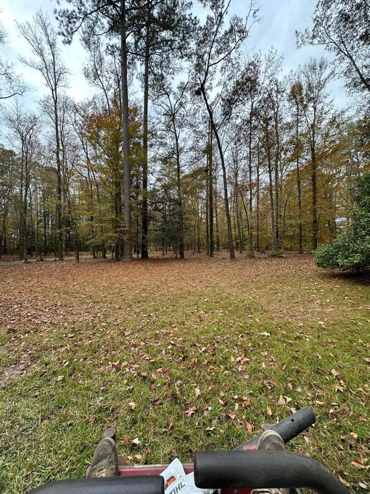 Our Fall Clean Up service ensures your property stays pristine by removing leaves and debris, trimming shrubs, and preparing your lawn for winter. Trust us to keep your landscape healthy and beautiful. for Cahoon's Coastal Lawn Care Services in Manteo, NC