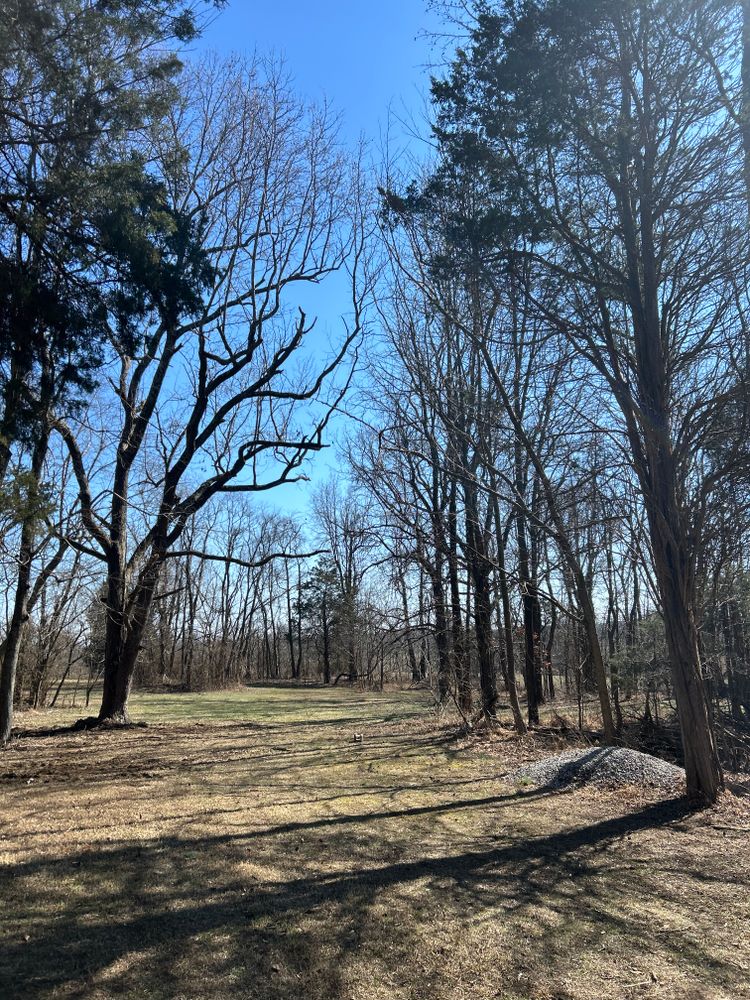 All Photos for Optimum Tree Service And Landscaping in Bowling Green, KY