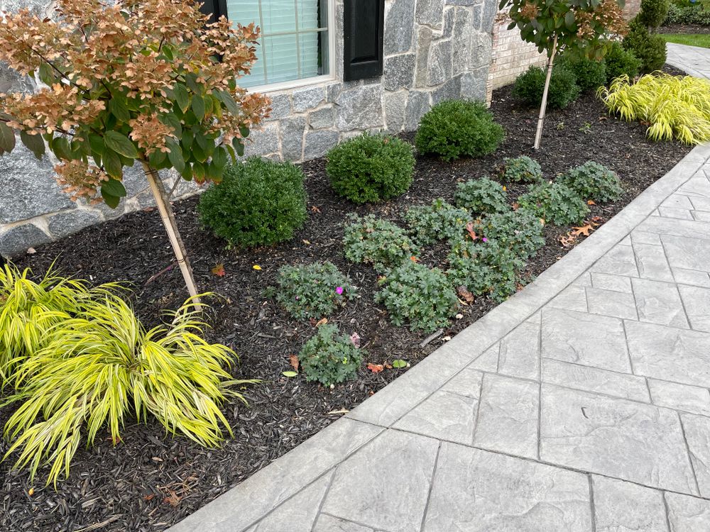All Photos for Adams Landscaping in Springfield, MA