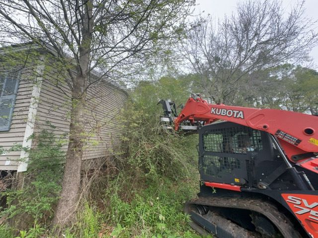 Tree Cleanup  for D&D Services of Pensacola in Pensacola, FL