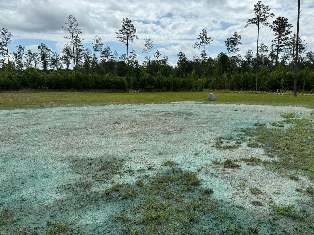 Brush Cutting and Removal for Fayette Property Solutions in Fayetteville, GA