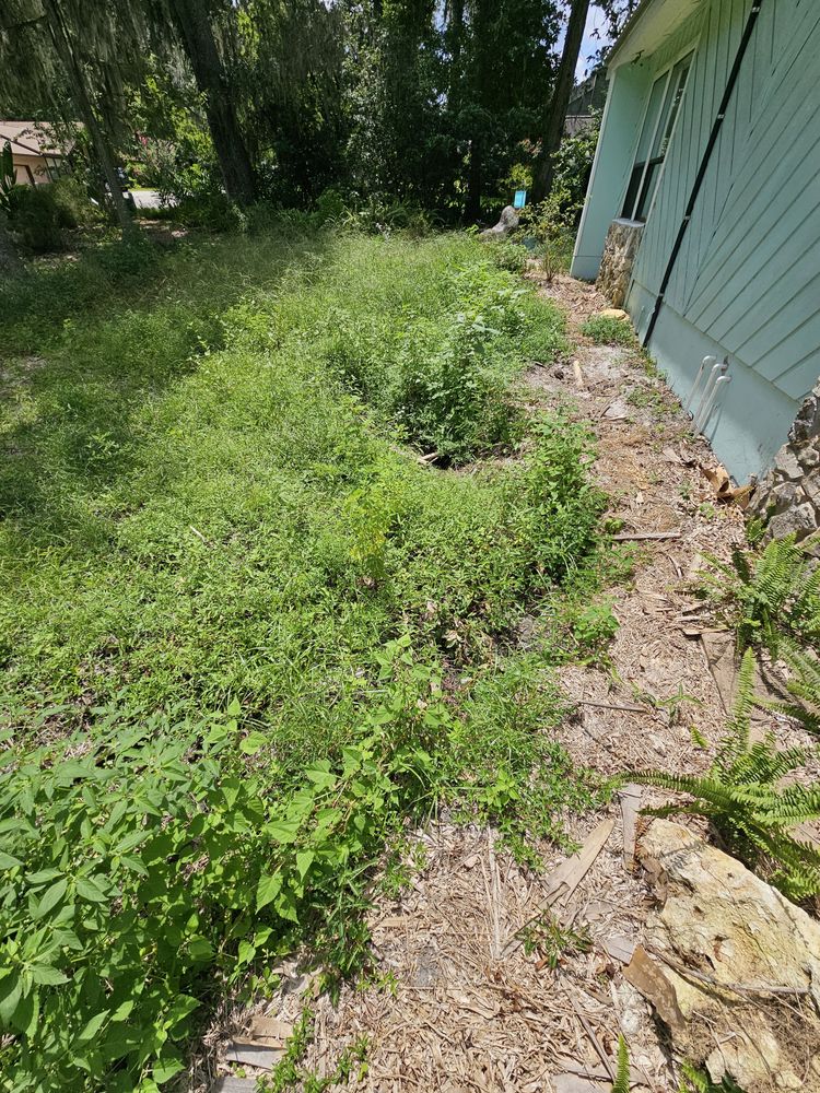 All Photos for Deeper Roots Landscape in High Springs, FL