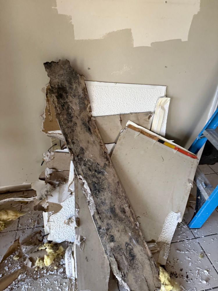 All Photos for N&D Restoration Services: When Disaster Strikes, We Come In in Cape Coral,  FL