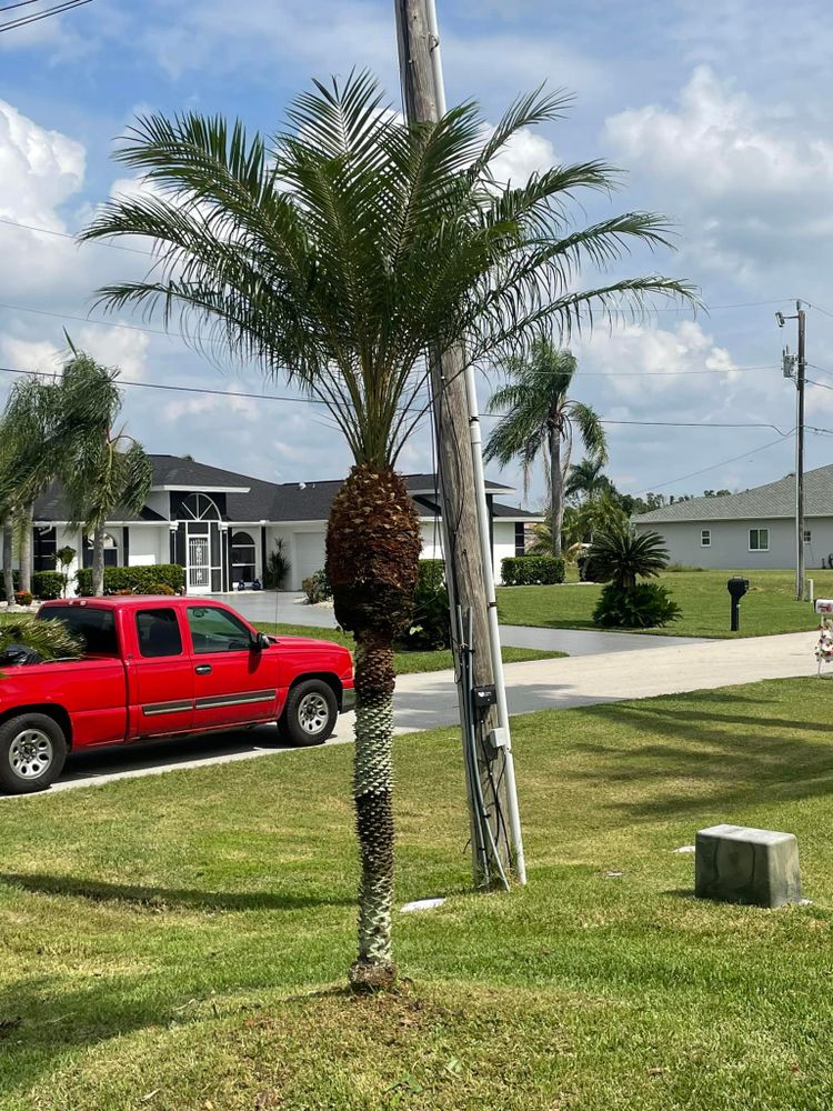 BH Lawn and Landscape team in Fort Myers, FL - people or person