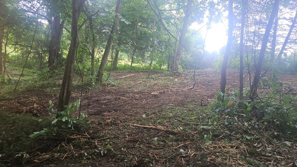 All Photos for B&B Land Management in Jamestown, TN