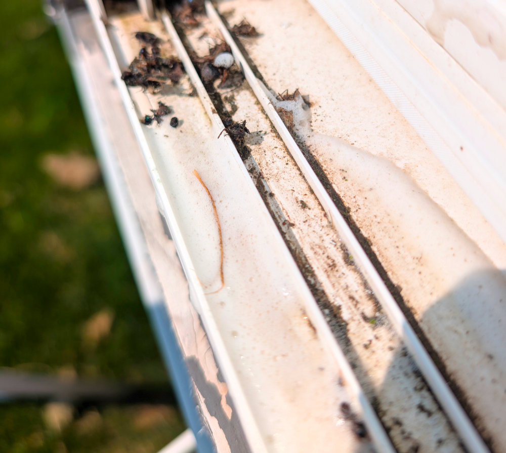 All Photos for Kingdom Power Washing & Window Cleaning in Flushing, MI