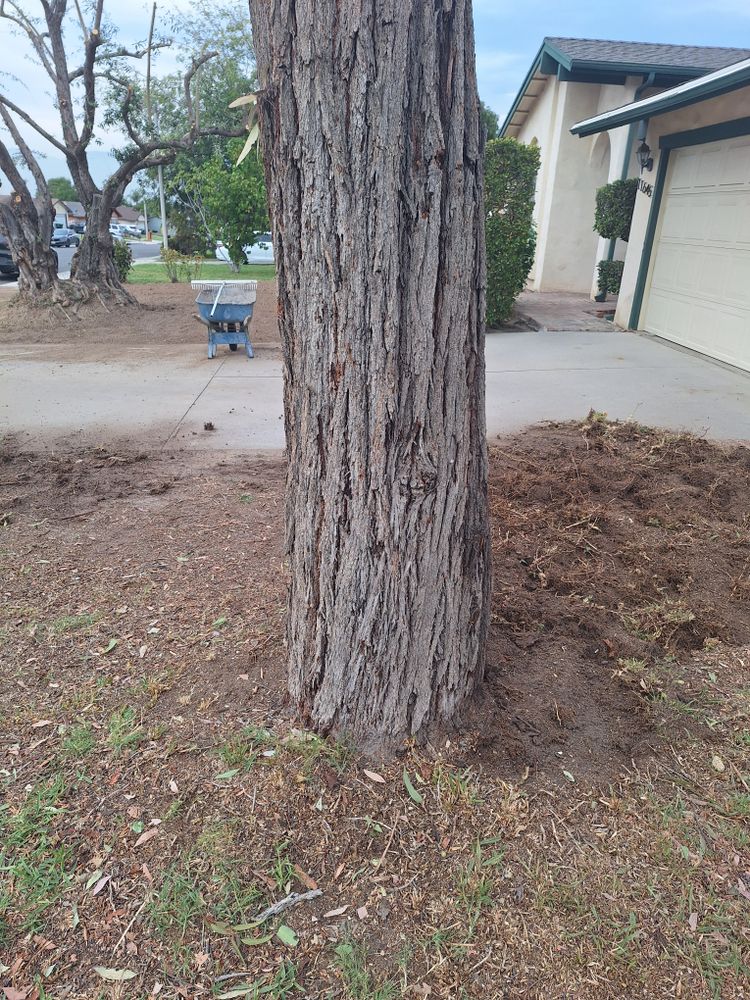 All Photos for Best Lawncare in Colton, CA