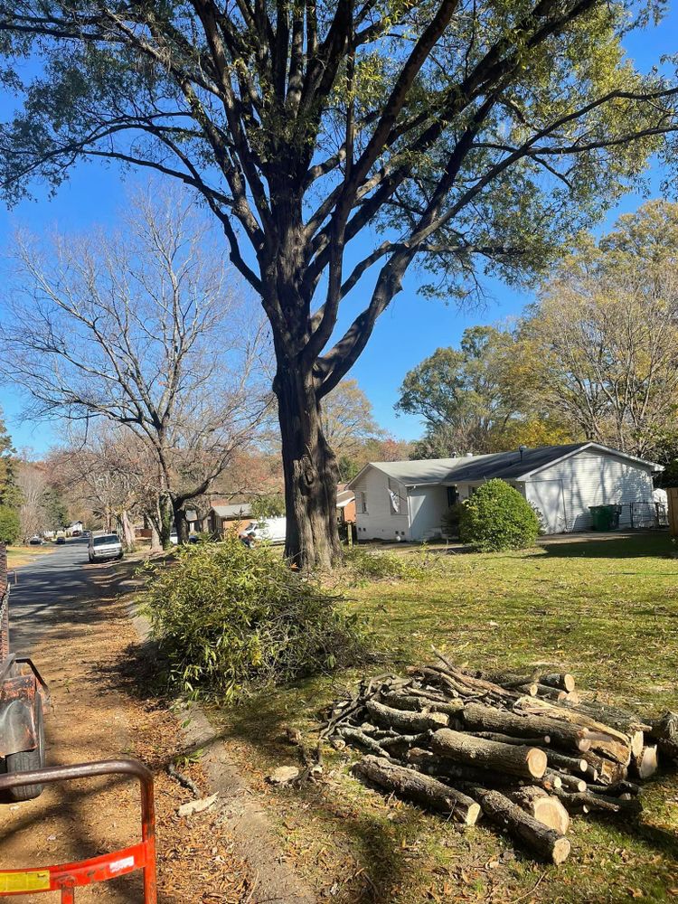 Our professional Tree Removal service safely and efficiently eliminates unwanted trees from your property, enhancing safety, aesthetics, and overall landscape health. Contact us today for a free consultation. for Oakhurst Landscaping and Tree Service in Charlotte, NC