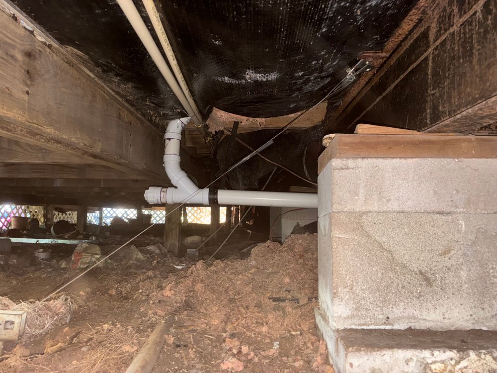 All Photos for Nomadic Plumbing Orlando in Orlando, FL