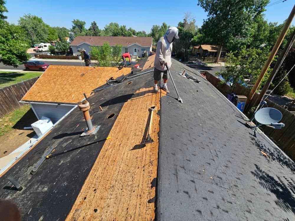 All Photos for Distinctive Home Renovations in Longmont, CO