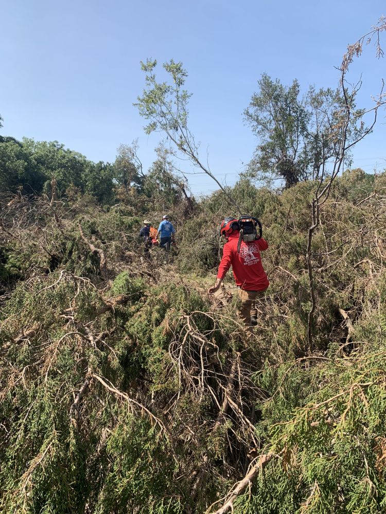 All Photos for Braun Tree Service in Floresville, Texas