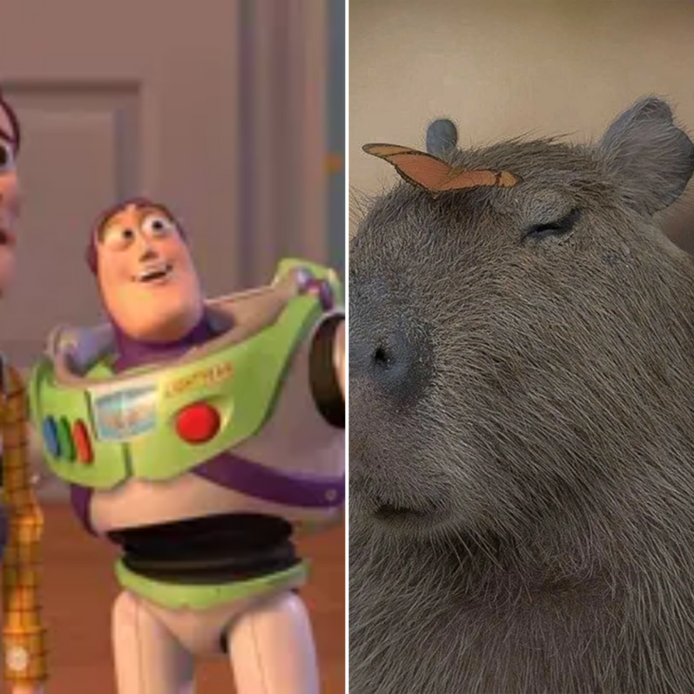 All Photos for Good Boys LLC in Irondequoit, NY