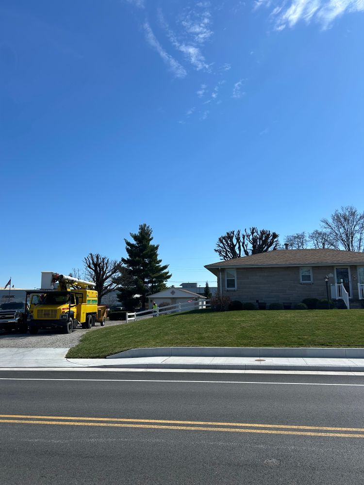 All Photos for SMITHs Tree Service in Columbus, IN