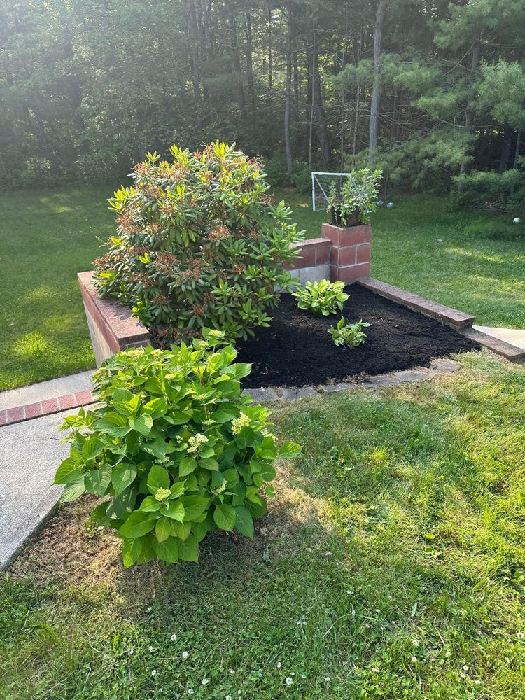 All Photos for Silver City Tree and Landscape in Taunton, MA