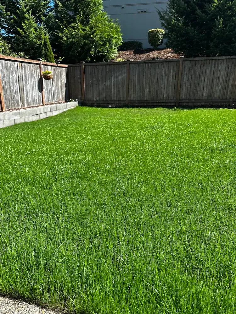 Landscaping for JJG Landscaping LLC in Tacoma, WA