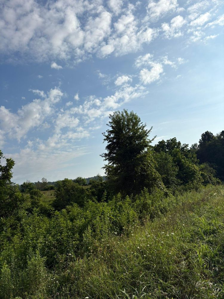 All Photos for Phillips Construction and Excavating in Seymour, TN