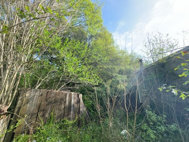 Tree Cleanup  for D&D Services of Pensacola in Pensacola, FL