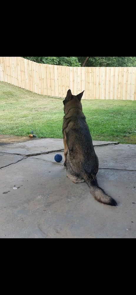 All Photos for Backyard Fence Solutions LLC in Uniontown, PA