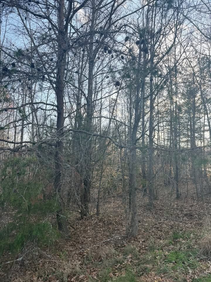 All Photos for Hunt’s Hauling & Landworks LLC in Danville, VA