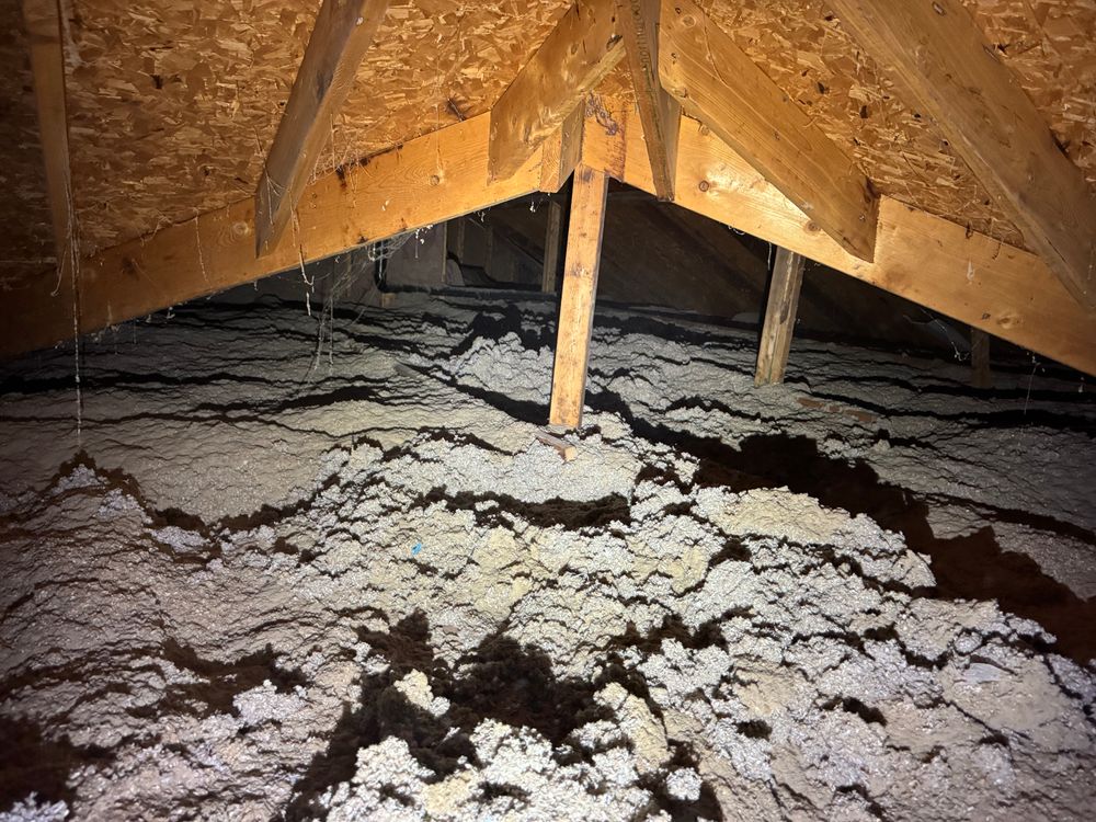 All Photos for FNS Exterior Consulting LLC, Powered By Live OAK in Cumming, GA