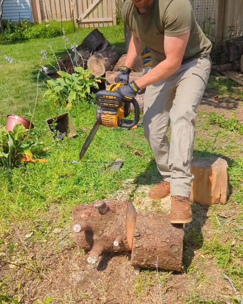 Tree Removal for Revive Home  in , 