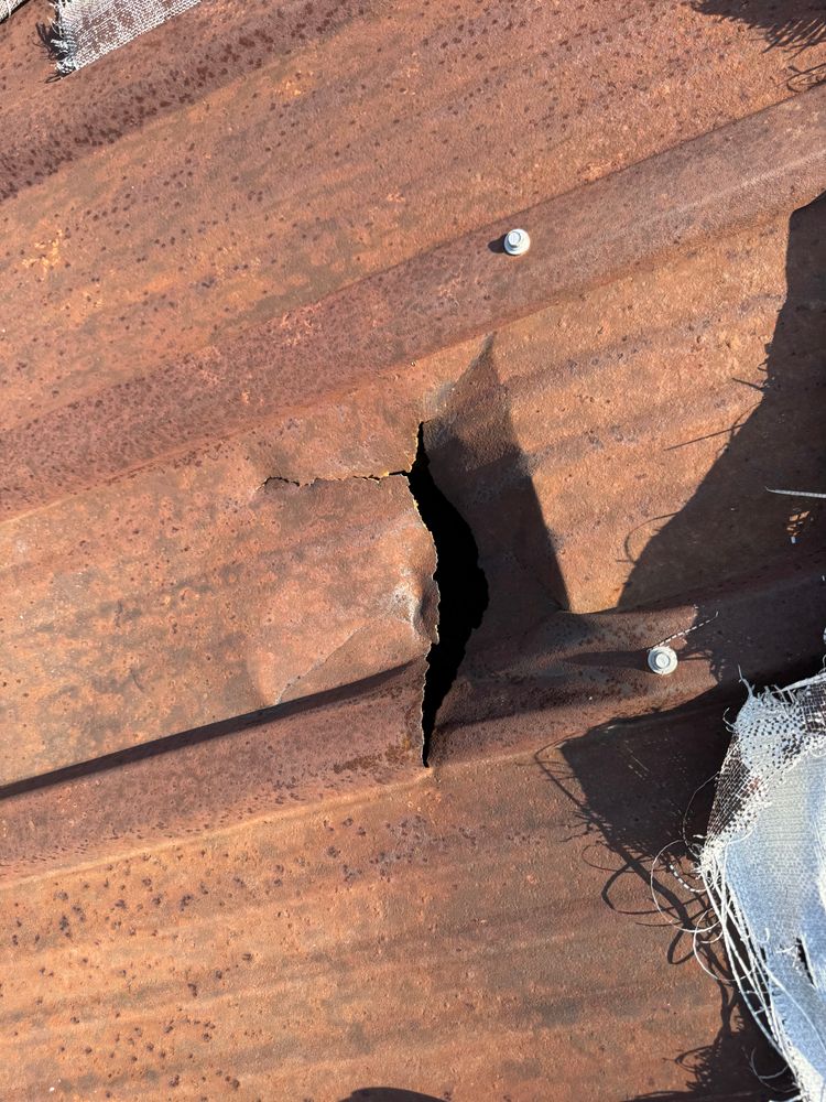 All Photos for Waterproofing Solutions Company in Mandeville, LA