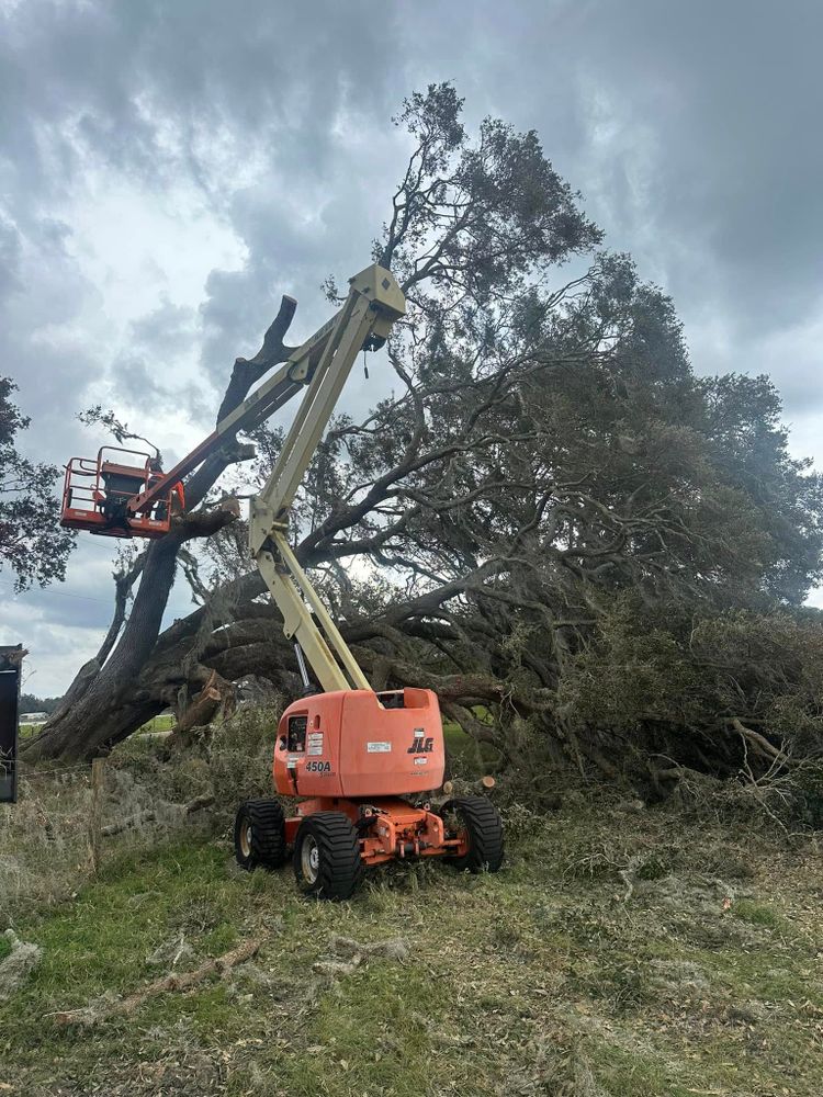 Debris Removal for Orange Cypress Land Services in DeLand, FL