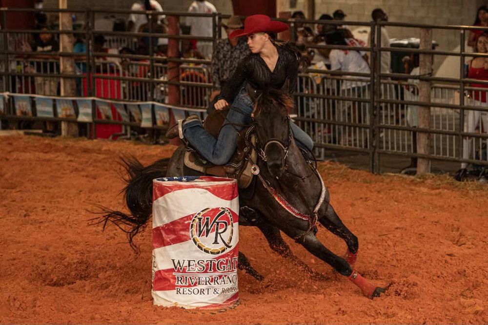 All Photos for Florida Native Equestrian Development in Central Florida, FL