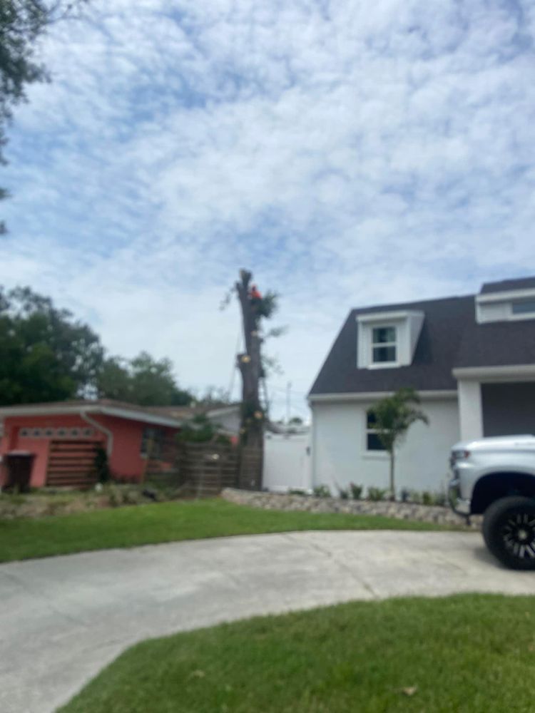 All Photos for Efficient and Reliable Tree Service in Lake Wales, FL