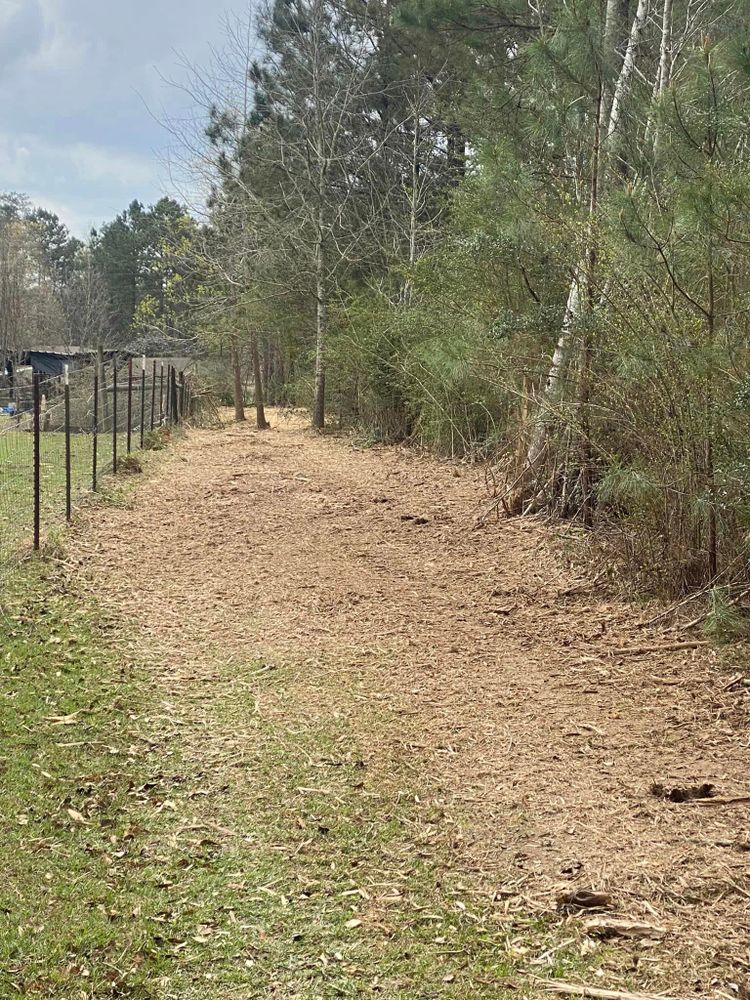 Land Clearing for South Mississippi Land Management LLC in Columbia, Mississippi