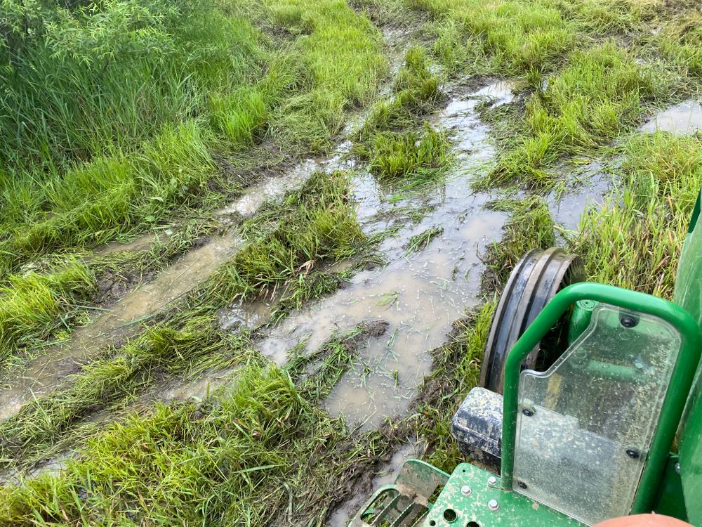 All Photos for A1 Bush Hogging & Lawn Service in Columbus, OH