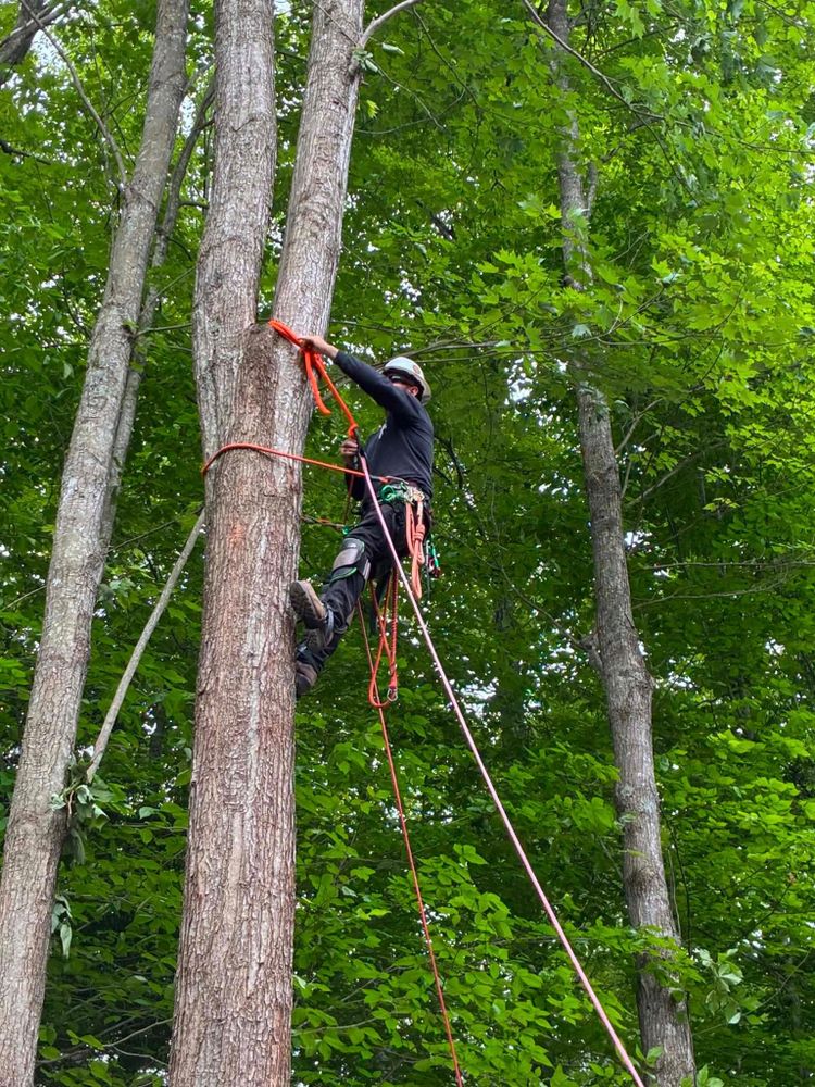 Skys The Limit Tree Management team in Morehead, KY - people or person