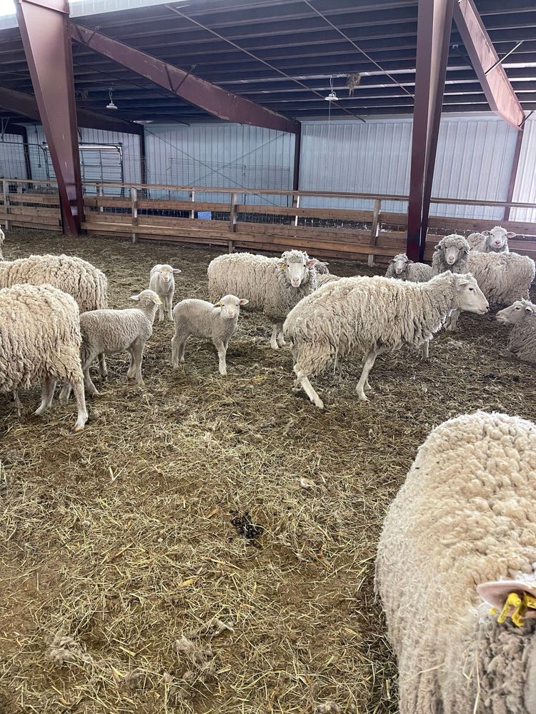 All Photos for Mr. Pipe Dreams LLC in Colorado Springs, CO